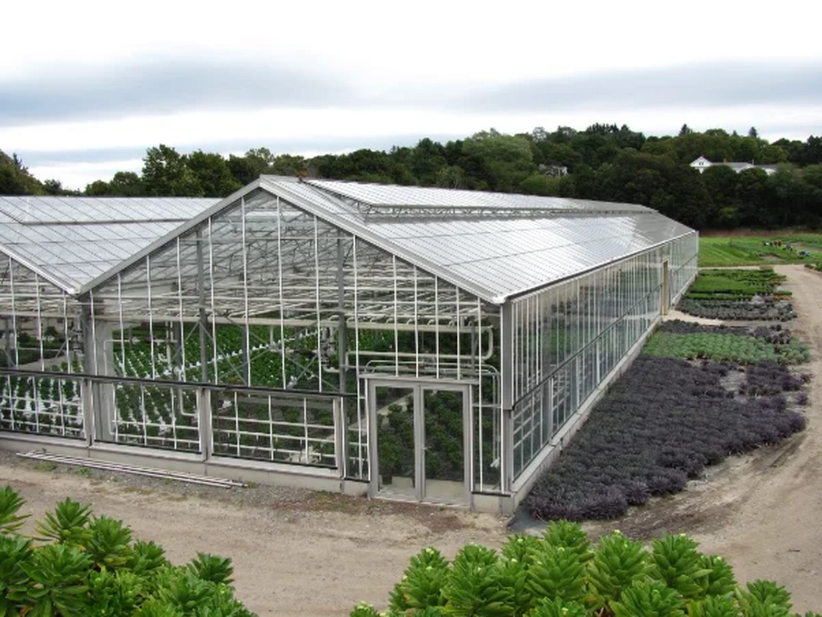 Aerial view of the PlantWorks glasshouse and trial beds at Kent Science Park